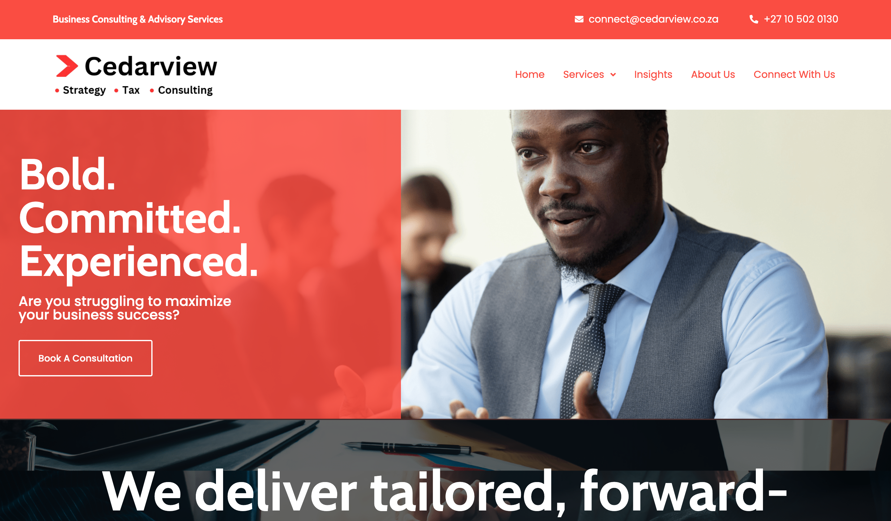 Cedarview business consulting preview
